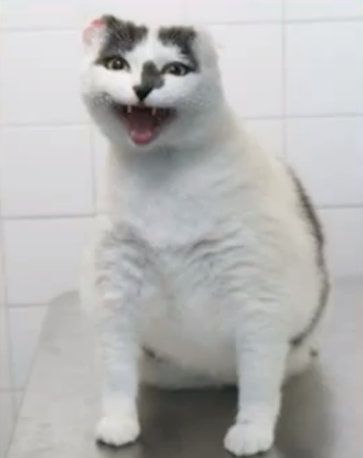 Feta, Djur